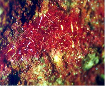 chalcotrichite