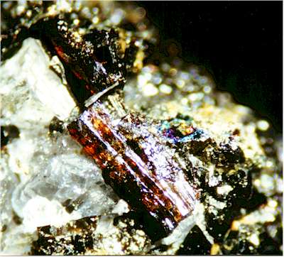 dravite