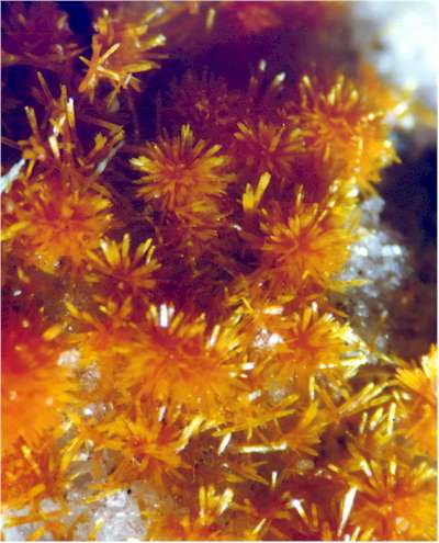 mimetite