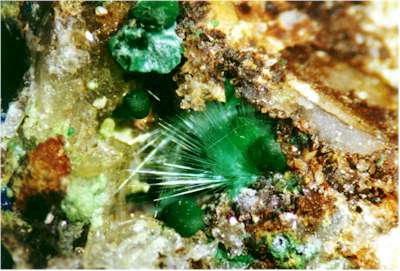 mixite