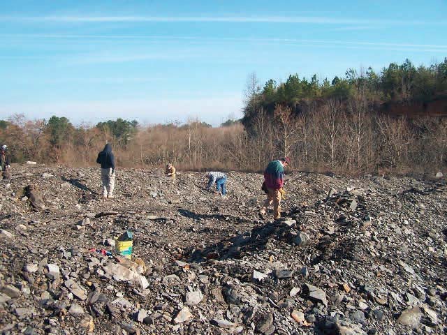 site