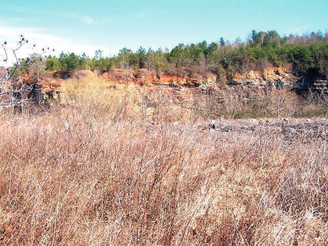 site