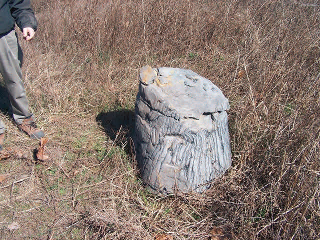 site