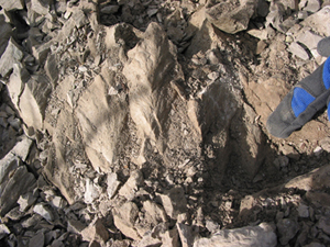 shattercones