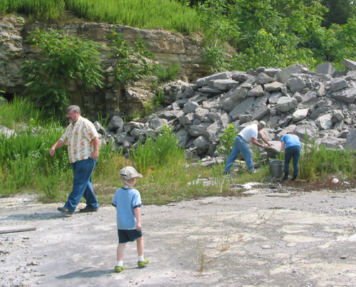 fossil1