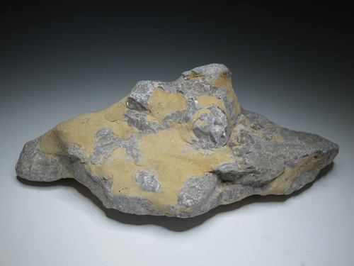 suiseki1