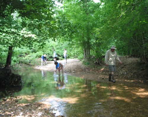 creek2