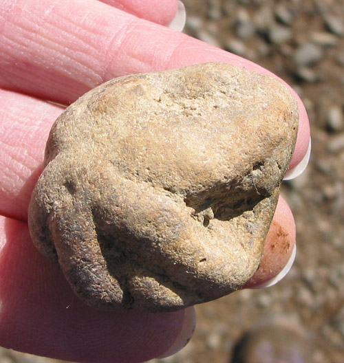 alabama