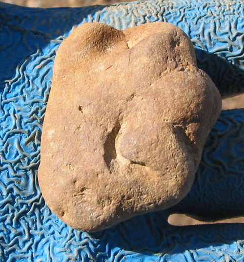 alabama