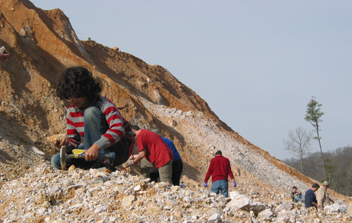 chert