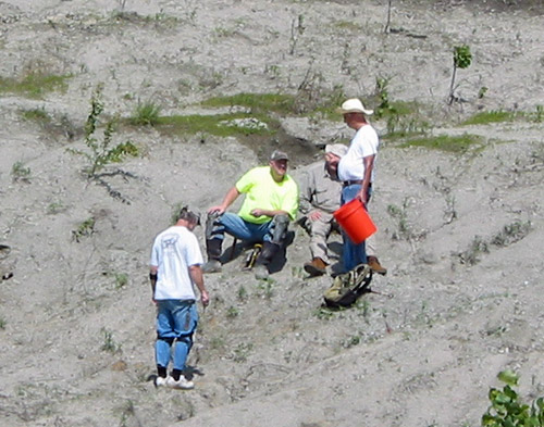 fossil