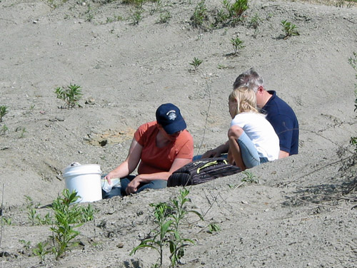 fossil