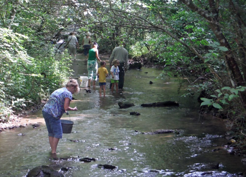 creek