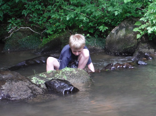 creek