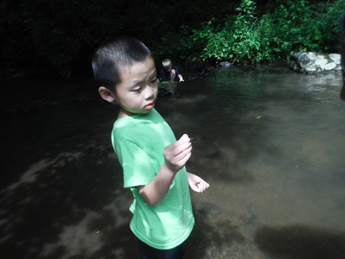 creek