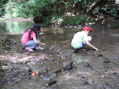 creek