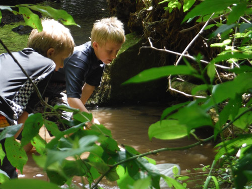 creek