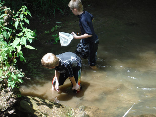 creek