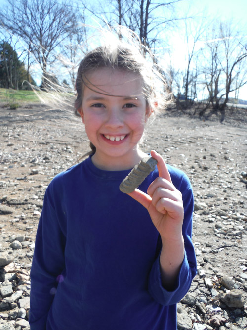 fossils