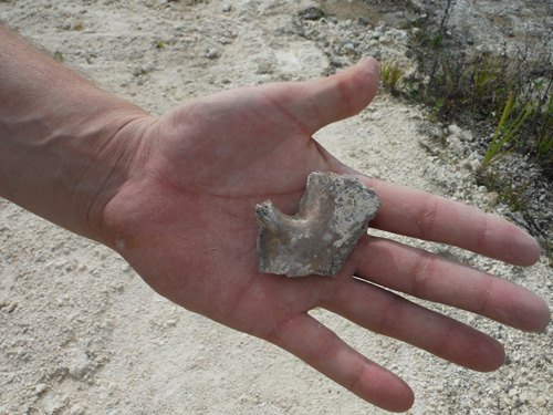 quarry
