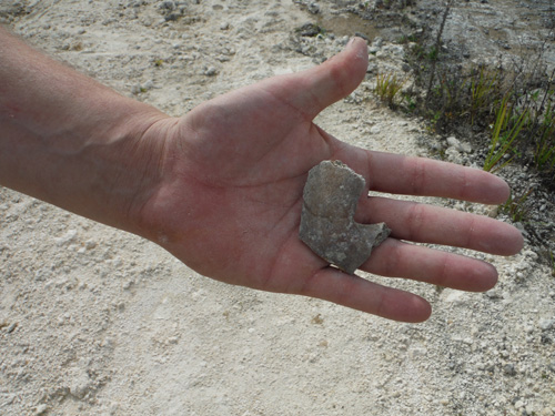quarry