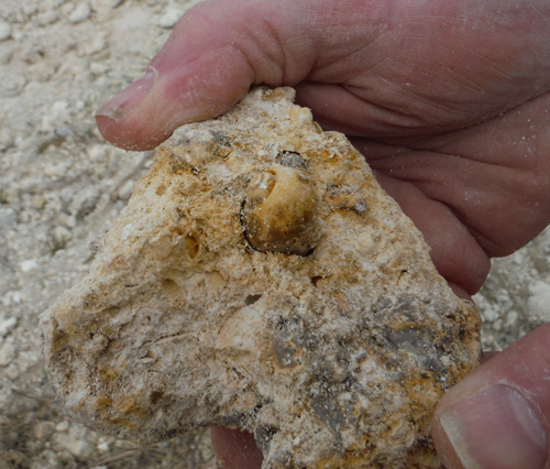 quarry