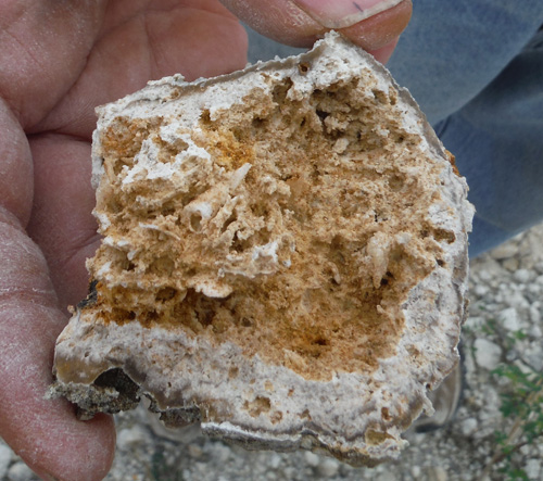 quarry