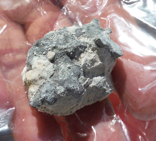 fossils
