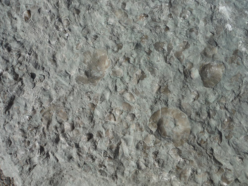 quarry