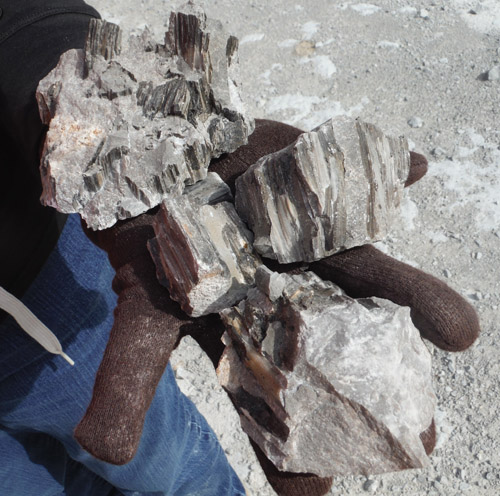 quarry