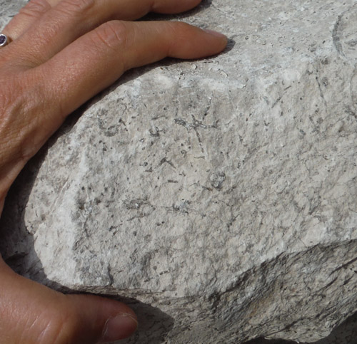 quarry
