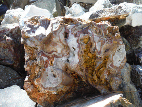 rocks