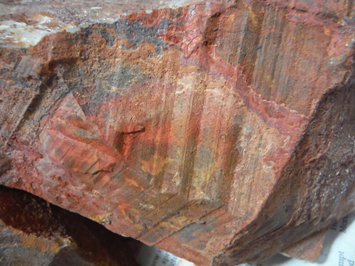rocks