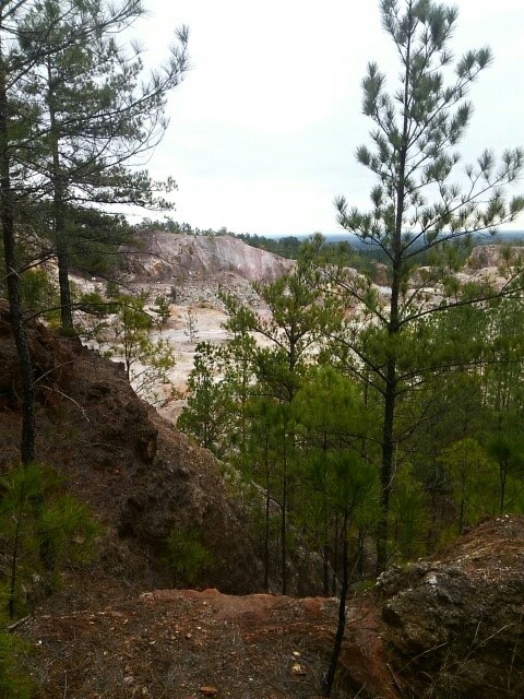 minerals