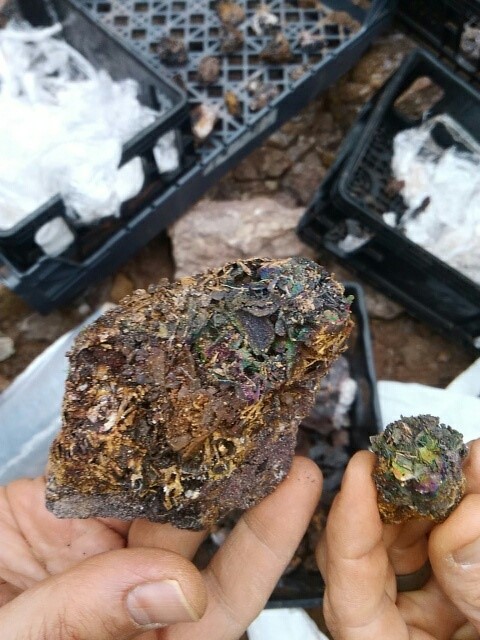 minerals