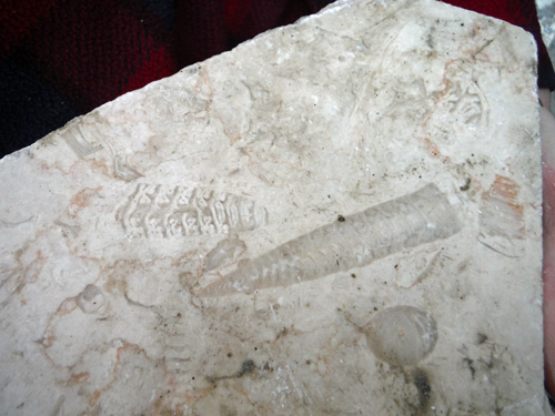 granite