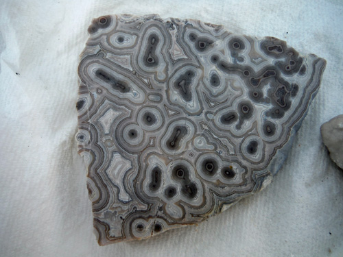 chert