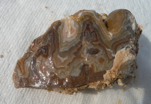 chert