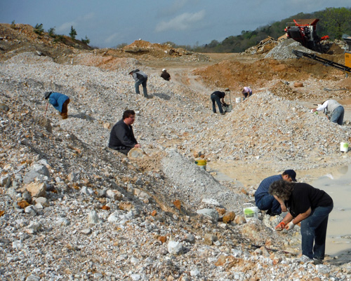chert