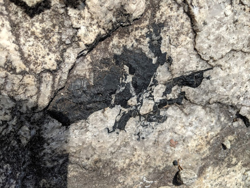 minerals