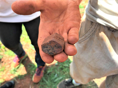 minerals