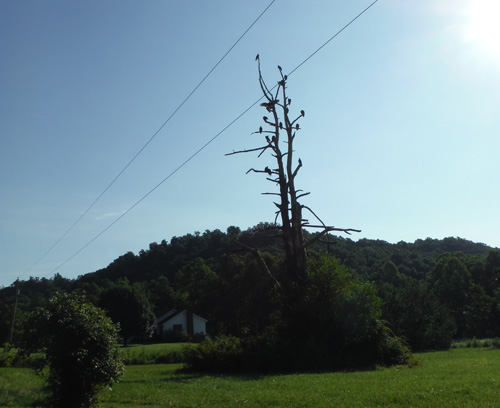 kentucky