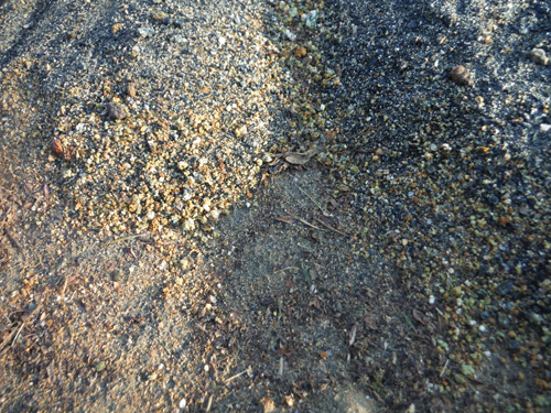 sand