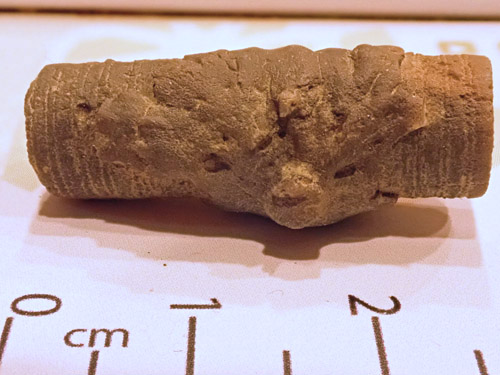 fossil