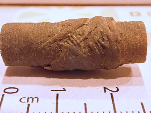 fossil