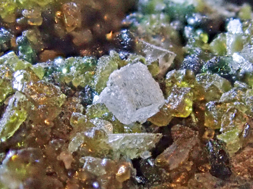 rock