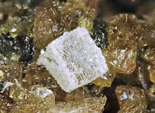rock