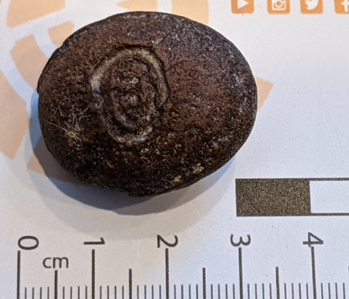 fossils