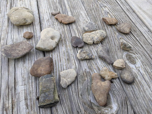fossils