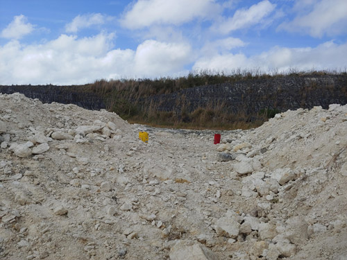 fossils
